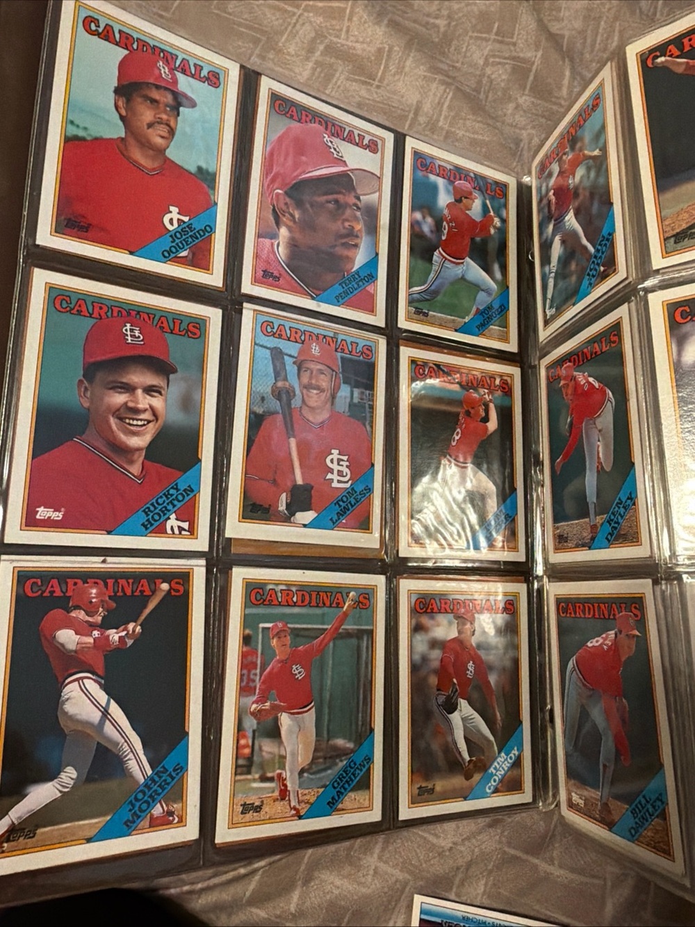 binder full of collectibles sport cards Baseball & basketball